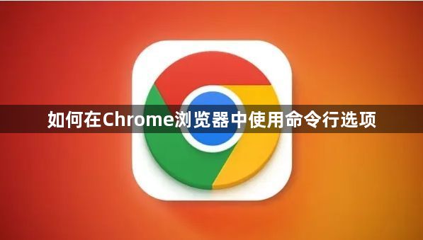 如何在Chrome浏览器中使用命令行选项1