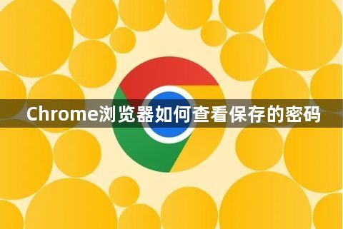 Chrome浏览器如何查看保存的密码1