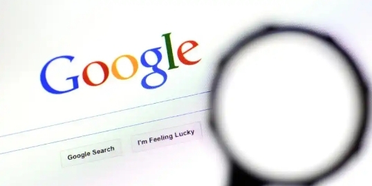 Google浏览器如何处理插件冲突问题1