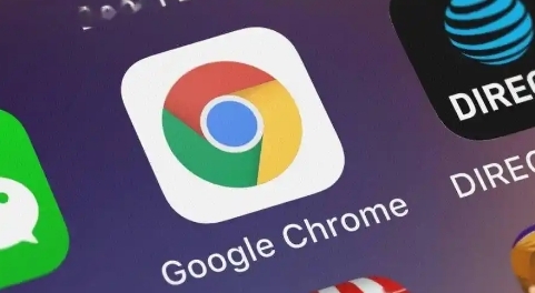 谷歌浏览器是否支持VPN1