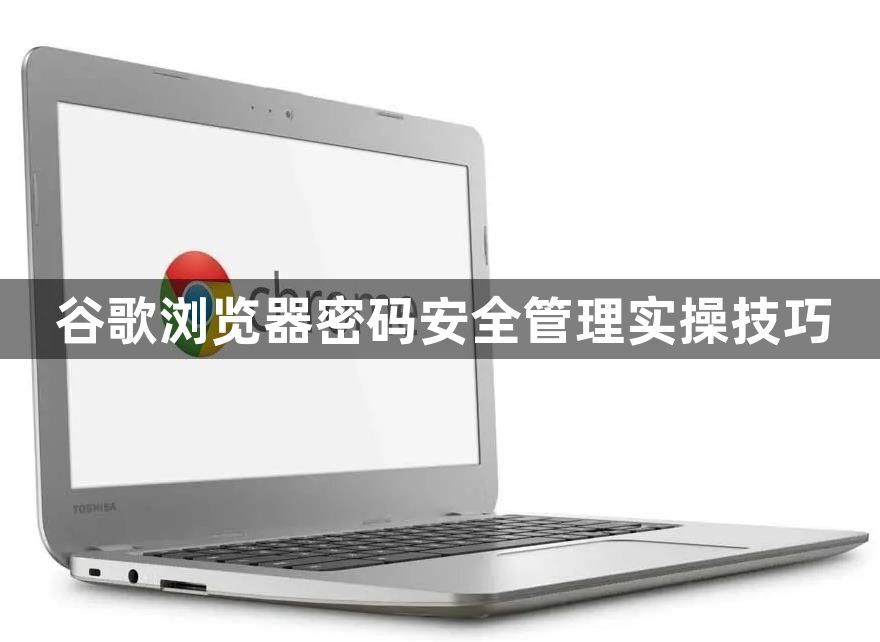 谷歌浏览器密码安全管理实操技巧1