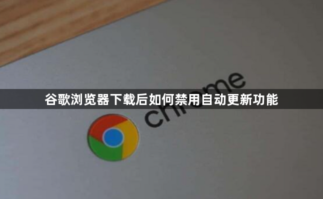 谷歌浏览器下载后如何禁用自动更新功能1