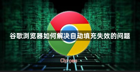 谷歌浏览器如何解决自动填充失效的问题1