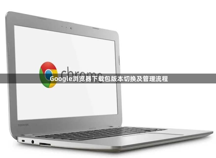 Google浏览器下载包版本切换及管理流程1