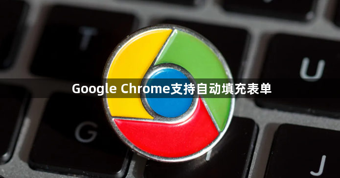 Google Chrome支持自动填充表单1