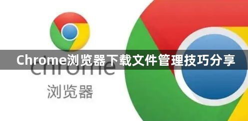 Chrome浏览器下载文件管理技巧分享1