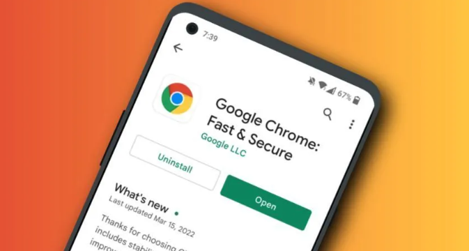 Chrome浏览器下载安装完毕后无法上网的排查1