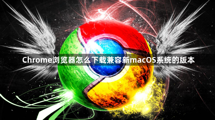 Chrome浏览器怎么下载兼容新macOS系统的版本1