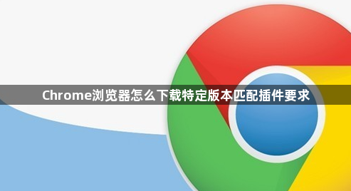 Chrome浏览器怎么下载特定版本匹配插件要求1