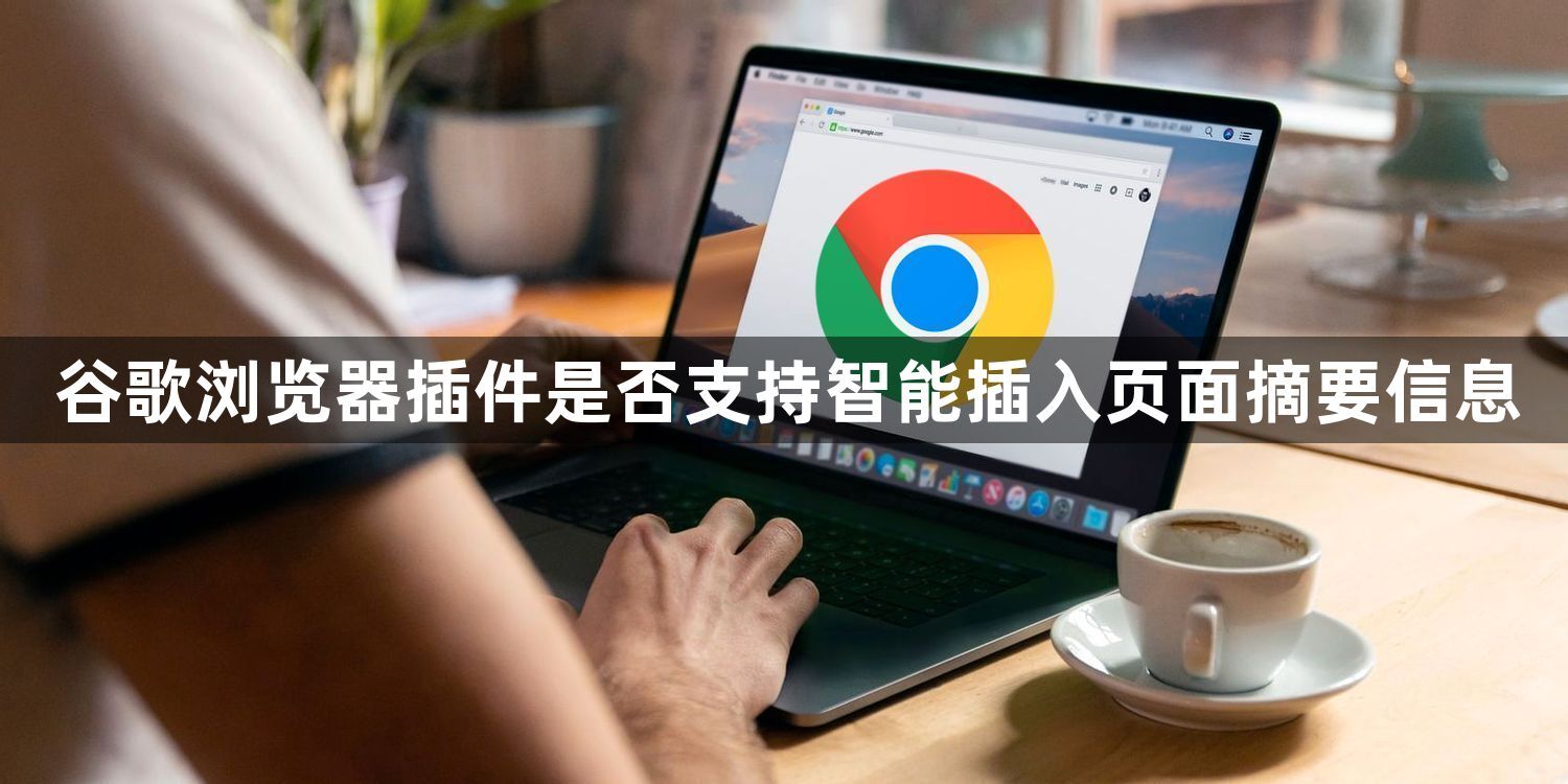 谷歌浏览器插件是否支持智能插入页面摘要信息1