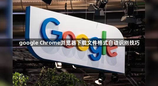 google Chrome浏览器下载文件格式自动识别技巧1