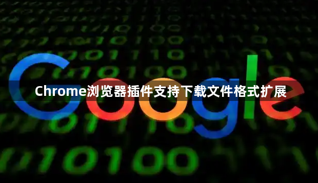 Chrome浏览器插件支持下载文件格式扩展1