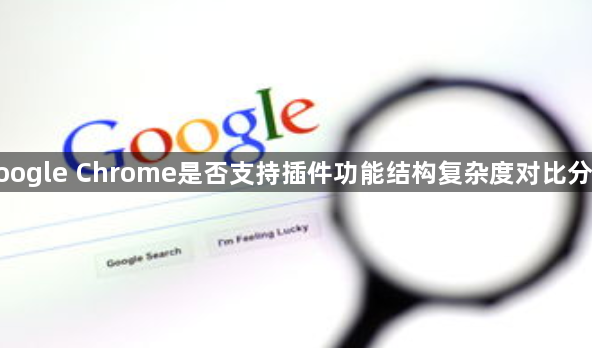 google Chrome是否支持插件功能结构复杂度对比分析1
