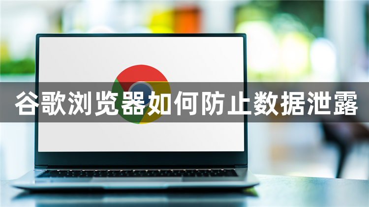 谷歌浏览器如何防止数据泄露1