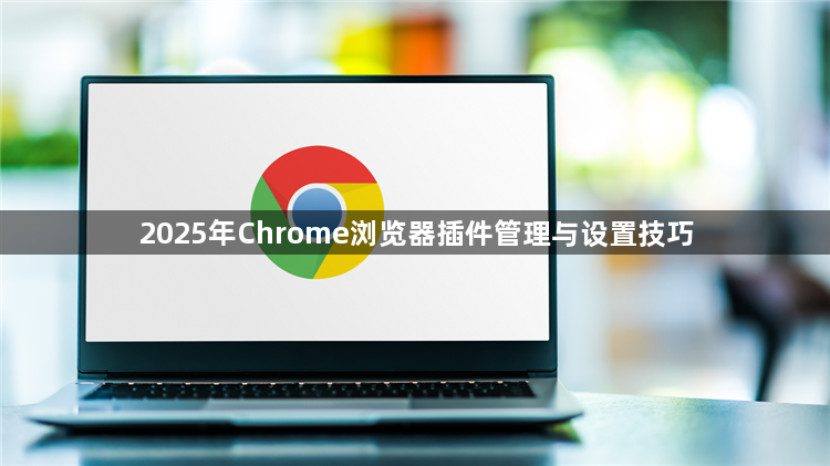 2025年Chrome浏览器插件管理与设置技巧1