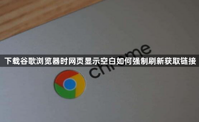下载谷歌浏览器时网页显示空白如何强制刷新获取链接1