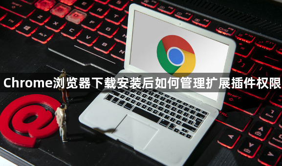 Chrome浏览器下载安装后如何管理扩展插件权限1