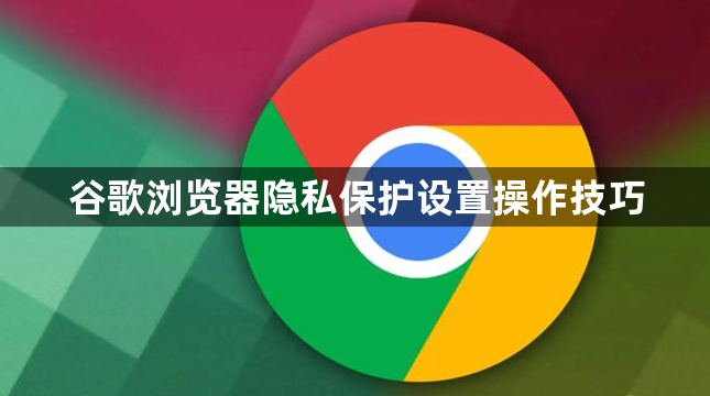 谷歌浏览器隐私保护设置操作技巧1