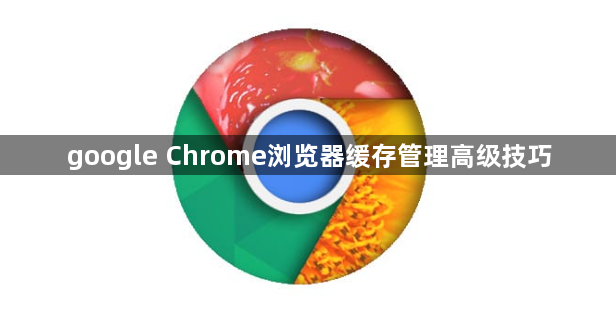 google Chrome浏览器缓存管理高级技巧1