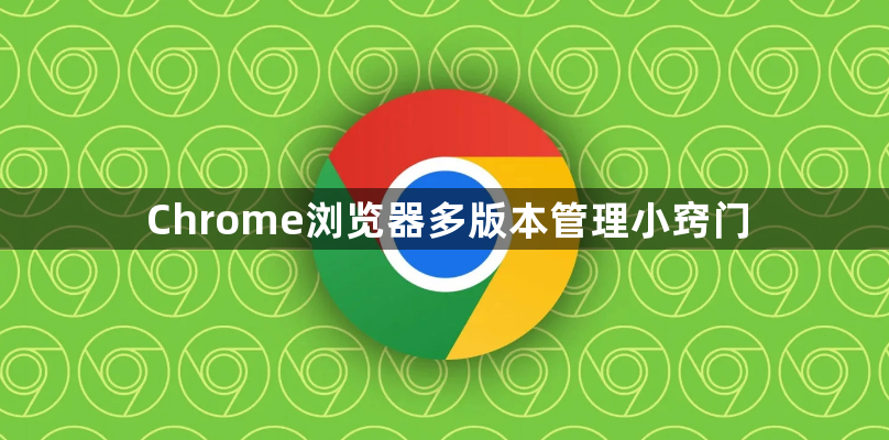 Chrome浏览器多版本管理小窍门1