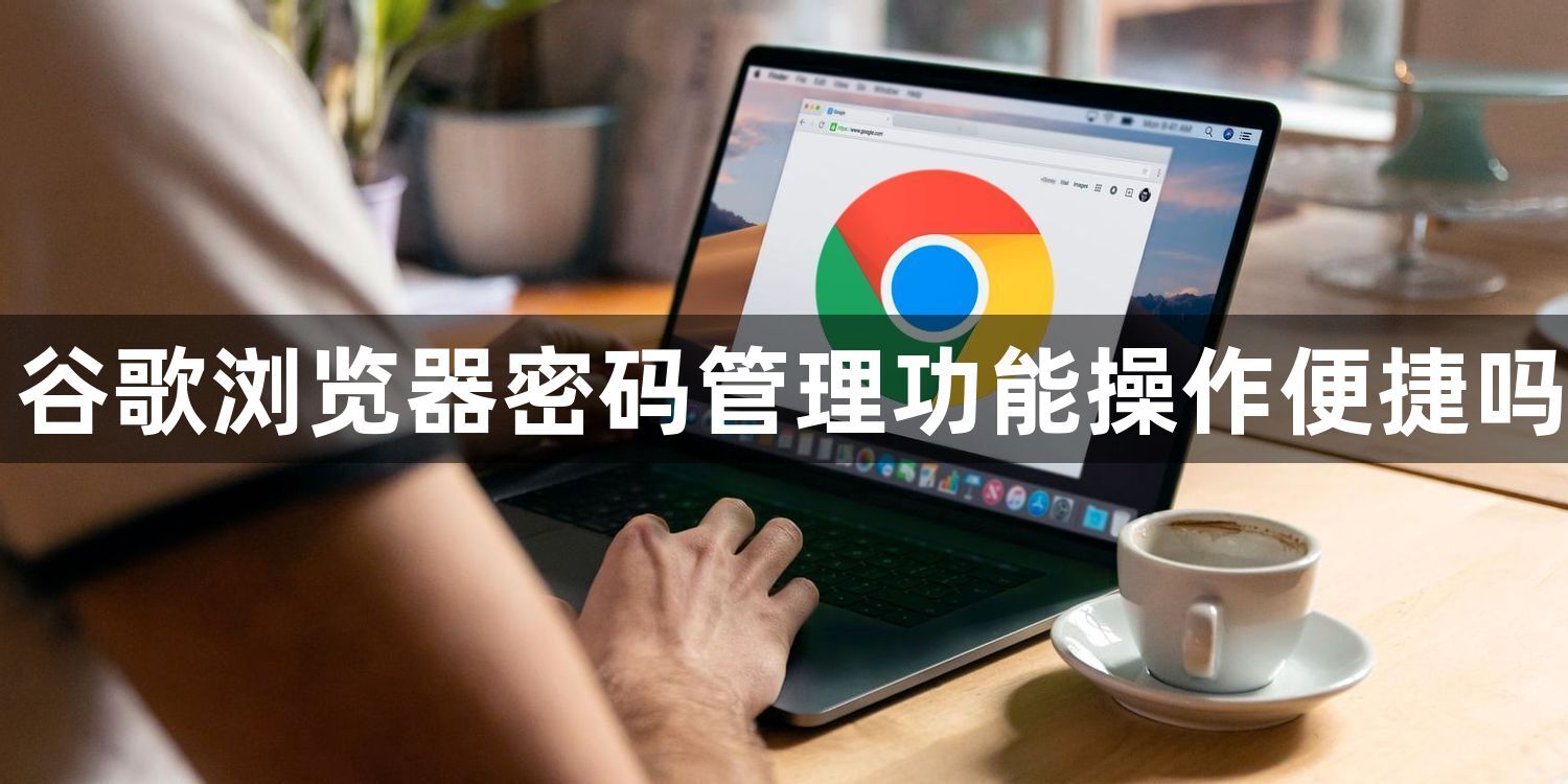 谷歌浏览器密码管理功能操作便捷吗1