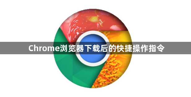 Chrome浏览器下载后的快捷操作指令1