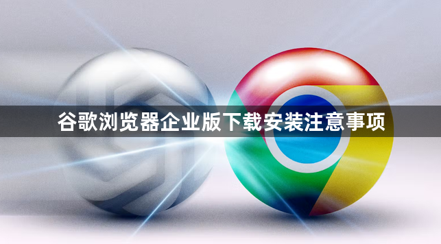 谷歌浏览器企业版下载安装注意事项1