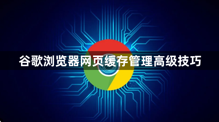 谷歌浏览器网页缓存管理高级技巧1