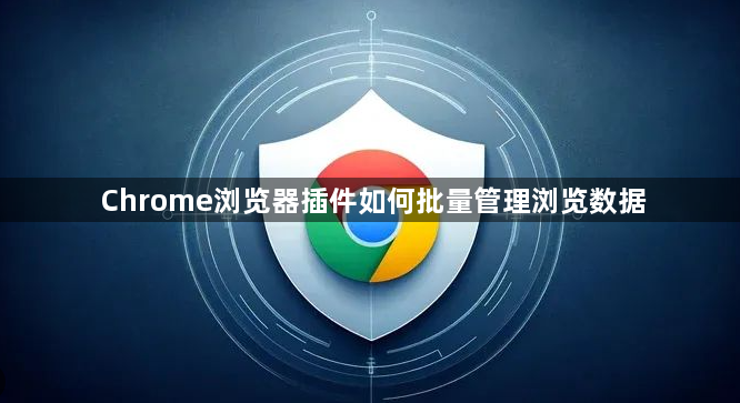 Chrome浏览器插件如何批量管理浏览数据1