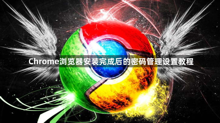 Chrome浏览器安装完成后的密码管理设置教程1