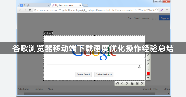 谷歌浏览器移动端下载速度优化操作经验总结1
