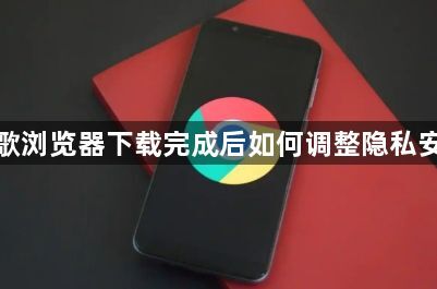 谷歌浏览器下载完成后如何调整隐私安全1